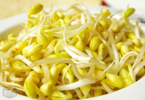 如何發黃豆芽？家庭怎么發黃豆芽