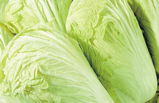 冬季怎樣儲存大白菜?大白菜的儲存方法