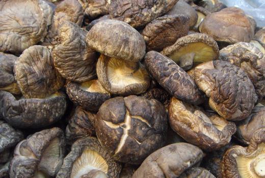 如何選購干香菇？干香菇的挑選方法