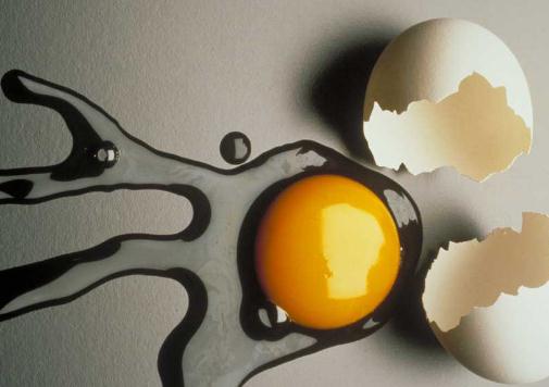 幫助快速減肥的食物有哪些?