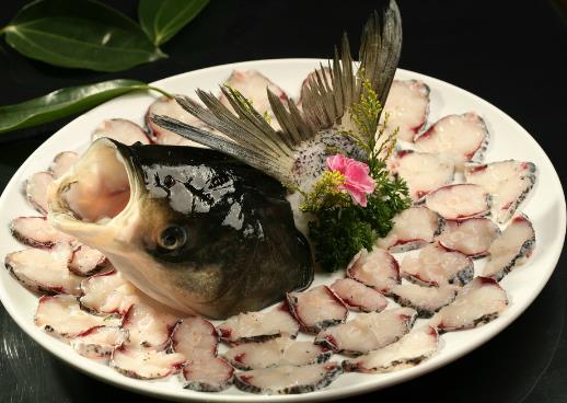 如何辨別常見的淡水魚？常見淡水魚的鑒別方法