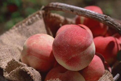 什么樣的桃子好吃?怎樣挑選新鮮的桃子