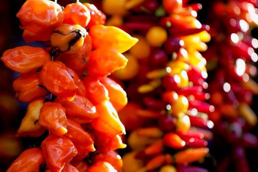 如何挑選到最辣的辣椒？什么樣的辣椒最辣