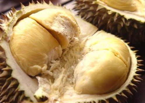 榴蓮怎么存放？榴蓮的保存方法