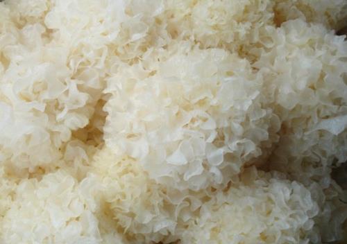 如何鑒別銀耳的質量？怎樣挑選優質的銀耳