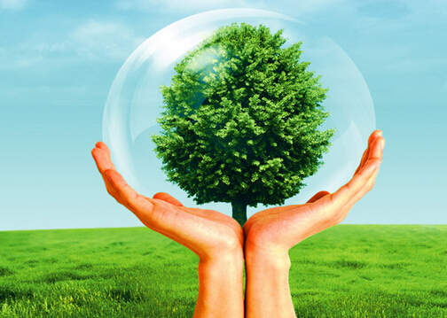 什么是保險公估人?保險公估的發展