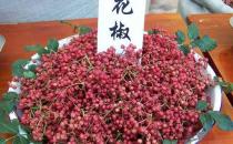 如何識(shí)別有毒花椒？毒花椒的鑒別方法