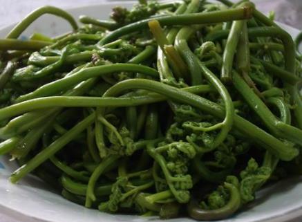 蕨菜怎么做好吃?蕨菜的做法大全