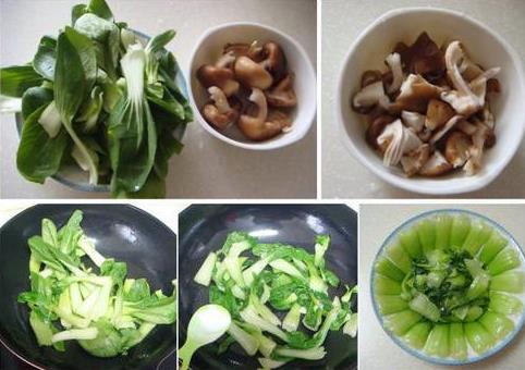 油菜怎么做好吃?油菜的做法大全