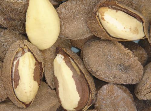 鮑魚果怎么吃？鮑魚果酥餅的做法