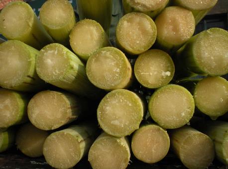 甘蔗怎么做好吃？甘蔗的做法大全