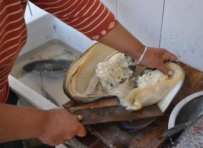 河蚌怎么洗才干凈？河蚌怎么做好吃？河蚌肉的做法