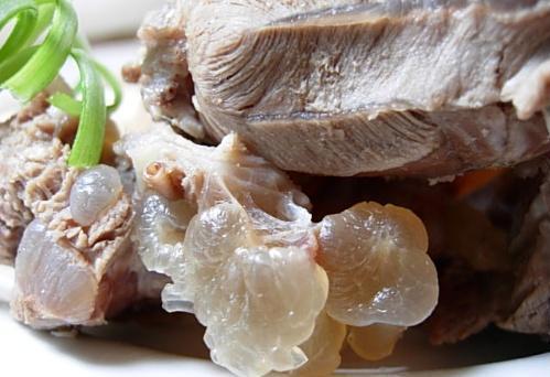 如何燉羊肉?怎么吃羊肉不上火?燉羊肉的做法大全