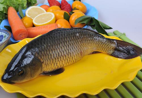 如何烹飪鯉魚?鯉魚怎么做好吃