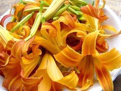 如何預防鮮黃花菜中毒?鮮黃花菜的制作方法,黃花菜的營養(yǎng)價值