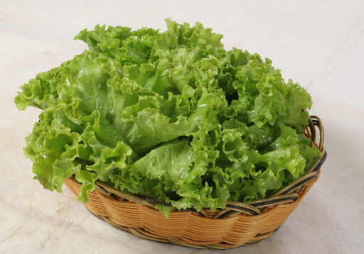 生菜可催眠鎮(zhèn)痛-生菜蘋果汁的做法