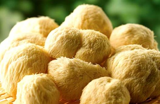 如何泡發(fā)猴頭菇？猴頭菇的泡發(fā)小竅門