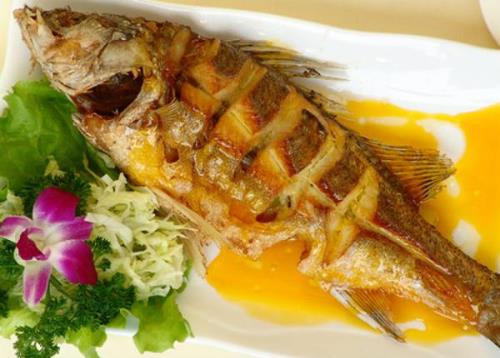 如何做魚營養又好吃?做魚營養好味道的小竅門