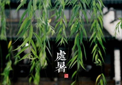 處暑是什么意思？處暑養(yǎng)生注意事項(xiàng)