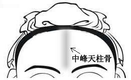 骨相圖解:中峰天柱骨