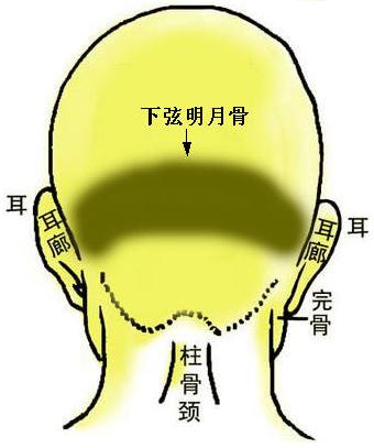 骨相圖解：下弦明月骨