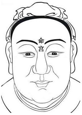 面相算命圖解:面相十二宮圖之命宮