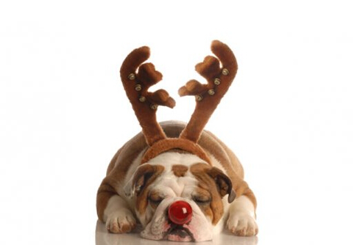 鼻子紅怎么辦？鼻子紅是什么原因？