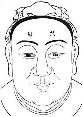 面相算命圖解：面相十二宮之父母宮