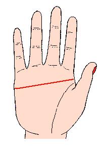 斷掌手相圖解:女人斷掌手相圖解
