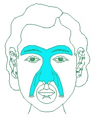 面相小人形相法:女性用倒小人形相法