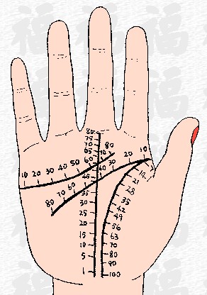 從手相看年齡的看法