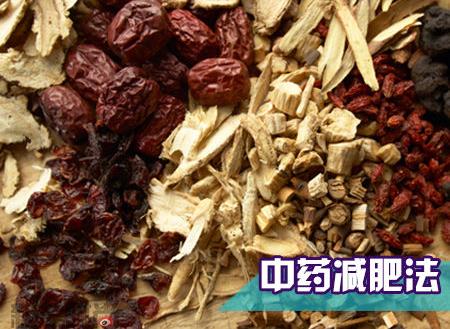 哪種中藥減肥效果好？吃什么中藥可以減肥