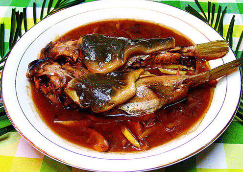 孕婦能吃河豚嗎-孕婦吃河豚魚的注意事項