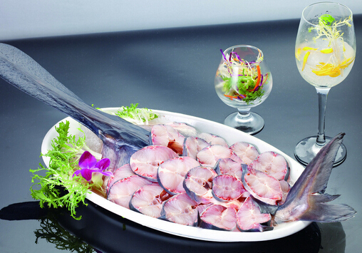 孕婦可以吃鴨嘴魚嗎?