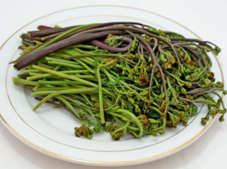 孕婦吃蕨菜有什么好處?孕婦吃蕨菜的做法
