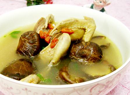 坐月子能吃鴿子肉嗎?坐月子可以吃鴿子嗎