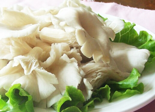 寶寶可以吃平菇嗎?寶寶吃平菇的做法