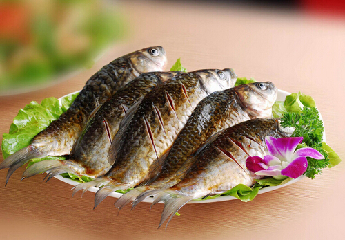 寶寶可以吃鯽魚嗎？寶寶吃鯽魚的做法