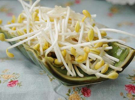 寶寶能吃黃豆芽嗎?寶寶吃黃豆芽的做法