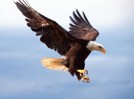 “高估自己”“過度自信”會影響人際關系