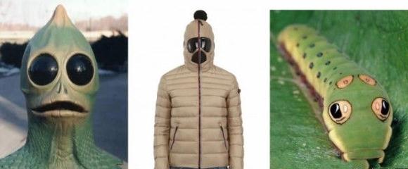 谷歌(Google)牌羽絨服Cosplay，實為頁面有Goggle字樣鬧烏龍