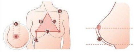 湖北高校校花評選：湖北評高校?；ㄒ蟆半p乳間距超20厘米”