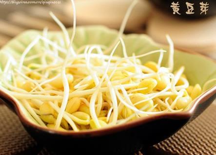 孕婦能吃黃豆芽嗎?孕婦吃黃豆芽的做法