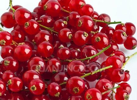 孕婦能吃醋栗嗎？孕婦吃醋栗有什么好處