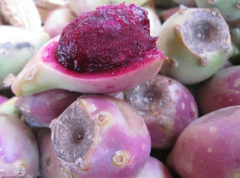 孕婦能吃仙人掌果嗎？孕婦吃仙人掌果好嗎