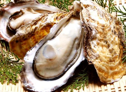 懷孕期間能吃海蠣子嗎?孕婦可以吃海蠣子嗎