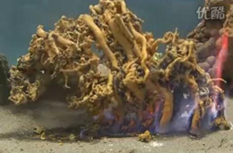 為什么叫法老之蛇？著名化學實驗法老之蛇硫氰化汞膨脹反應