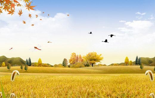 秋季吃什么減肥效果最好?