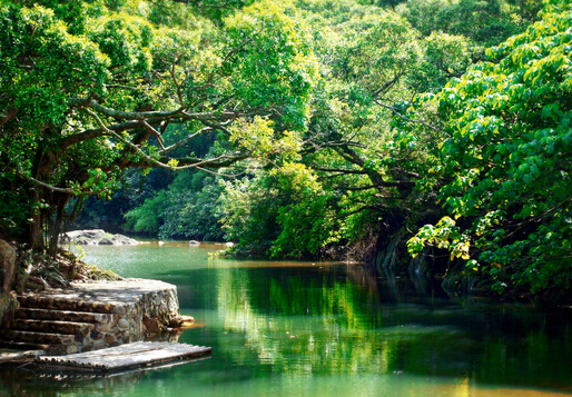 春季傳染病有哪些？怎樣預(yù)防春季傳染病