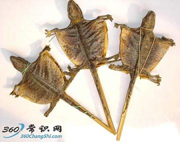 蛤蚧治療肺結(jié)核偏方